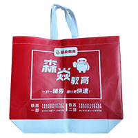 宁夏LB37培训班广告袋